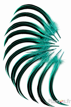 Ente Mandarin - 15-20 cm - jade